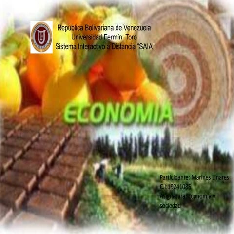 Marines linares economia y sociedad