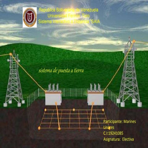 Marines linares electiva