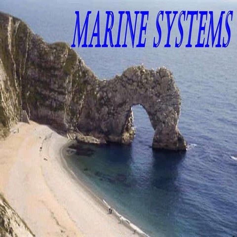 Marine Systems