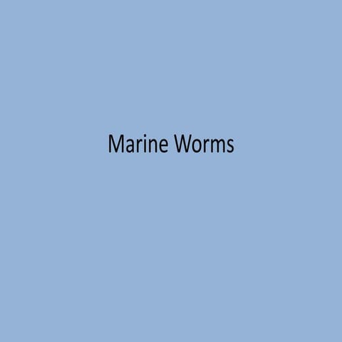 Marine worms