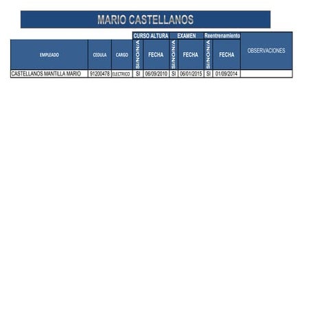 Mario castellano PPT