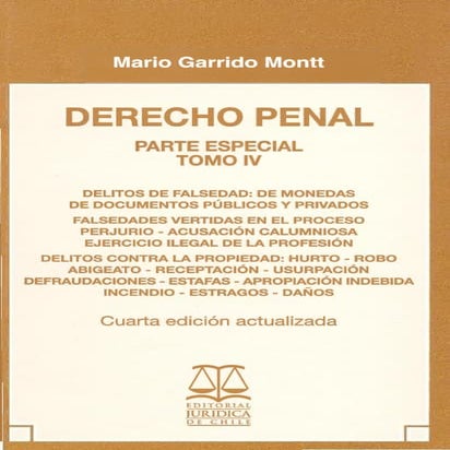 Mario Garrido Montt - Tomo IV - Derecho Penal - 4a Parte Especial (2008)