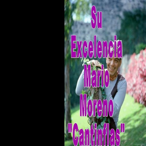 Su Excelencia, Mario Moreno -Cantinflas-