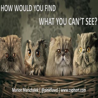 How would you find what you can't see?
