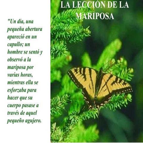 La metáfora de la mariposa | PPSX