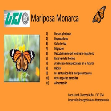 Mariposa monarca | PPTX