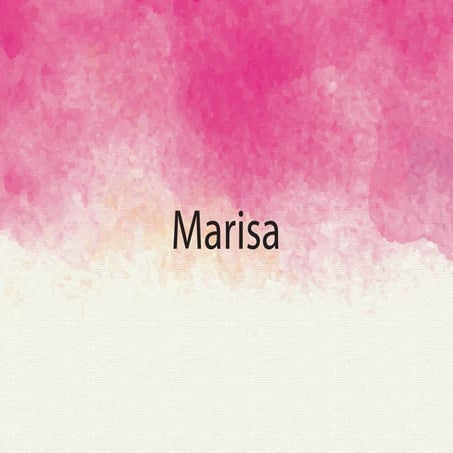 Marisa portfolio 2019 new | PDF