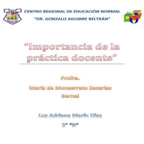 Importancia de la práctica docente