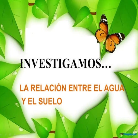 presentación tercero