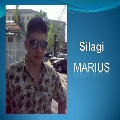 CV Marius Silagi PPT