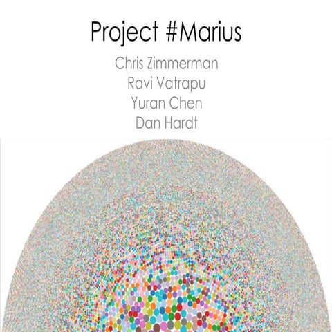 Marius - CBS Sentiment Workshop