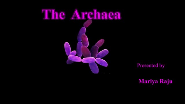 THE ARCHAEA
