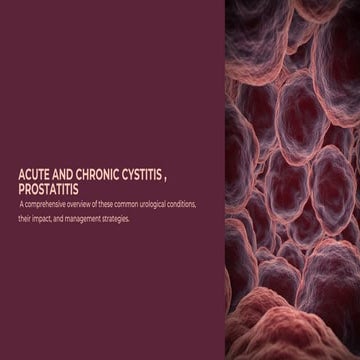 Prostatitis | PPTX