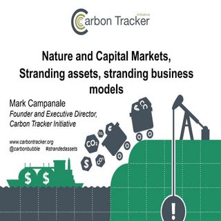 Nature and Capital Markets, strandi...