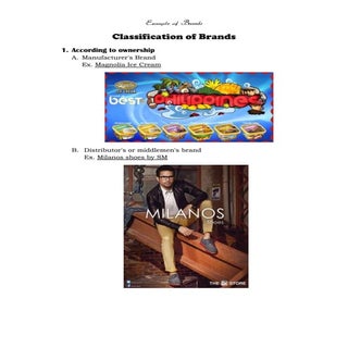 Classification of brands examples