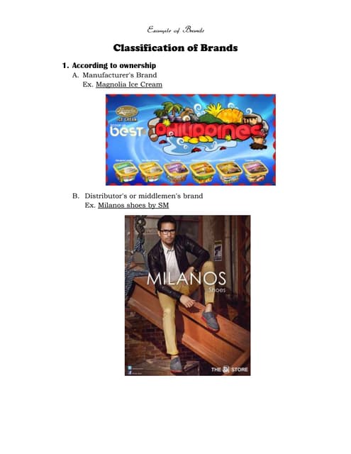 Classification Of Brands Examples Pdf Classification Of Brands Examples Pdf