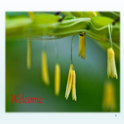 Marker assisted selection of male sterility in rice --vipin 