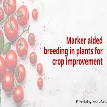 Marker aided breeding in plants for crop improvement- RAPD , RFLP , SCAR Markers