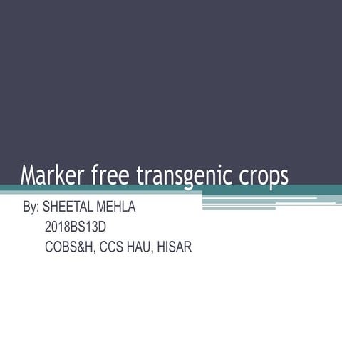 Marker free transgenic crops 602