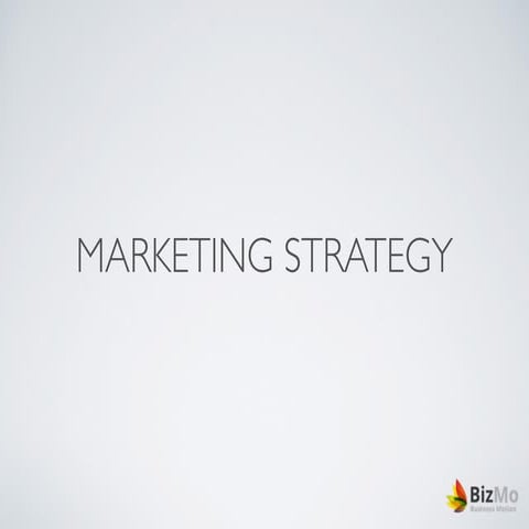 Marketing Strategy 