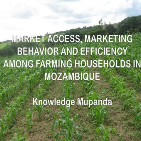 Market Access, Marketing Behavior And Efficiency Among Farming Households