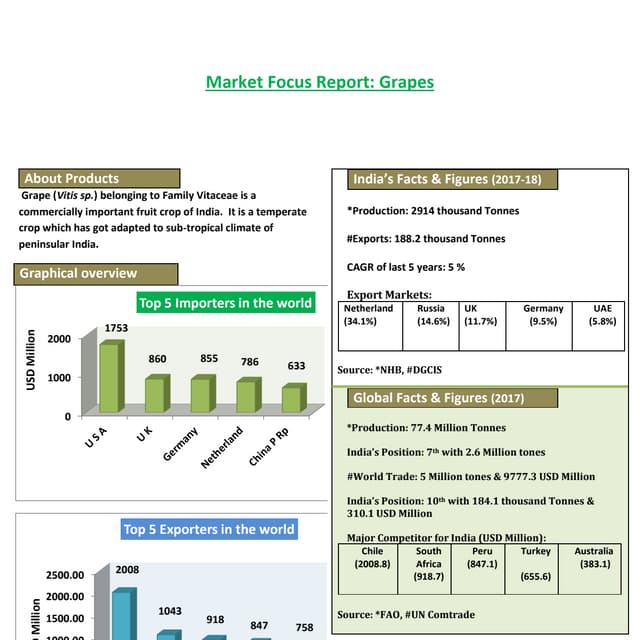 Market focus report grapes