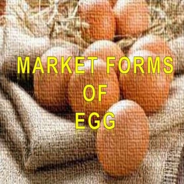 Market forms and uses of eggs.ppt
