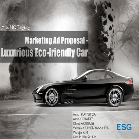 [Marketing] BMW Ad Proposal