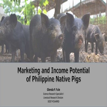 Marketing and income potential of philippine native pig (glenda p. fule)