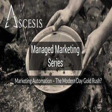 Marketing automation  the modern gold rush