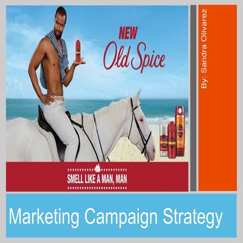 Marketing Campaign Strategy