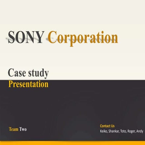 Marketing case of sony