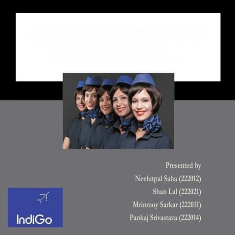 Marketing case study on Indigo Airlines