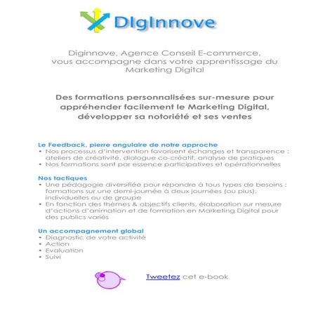 Marketing digital  stratégie, enjeux, outils