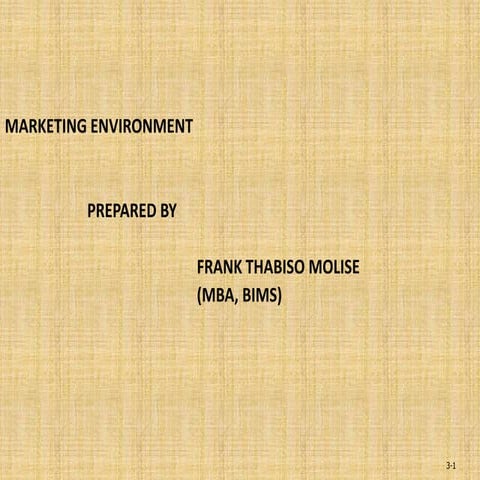 Marketing environment prersentation by frank