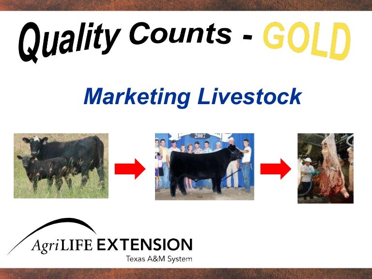 Marketing Livestock (Chapter 1)