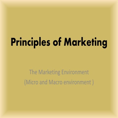 Marketing Management (micro and macro environment)