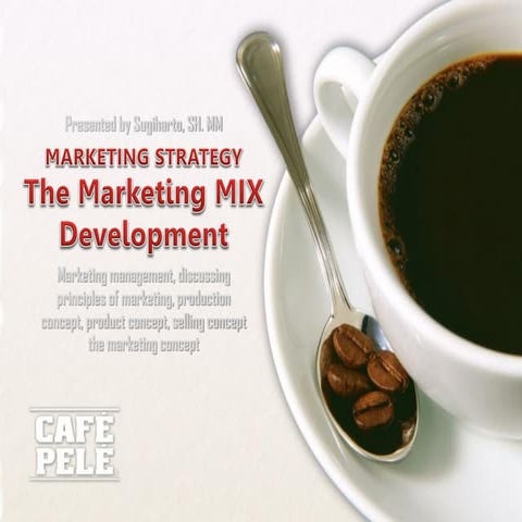 Marketing mix development