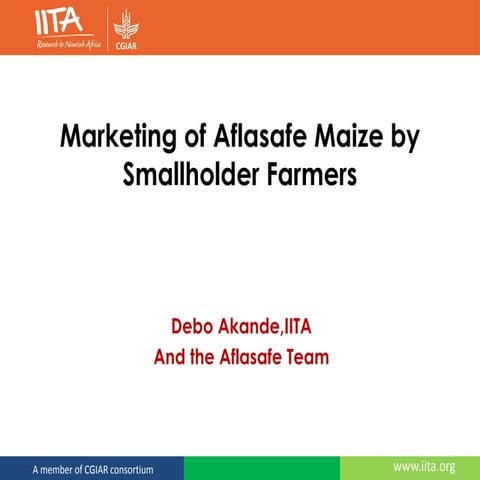 Marketing of Aflasafe Maize by Smallholder Farmers