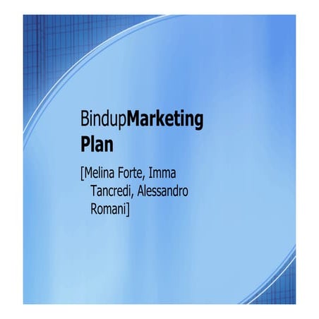 Marketing Plan  Bind-Up