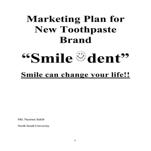 marketingplanfornewtoothpastebrand-160328180635.docx
