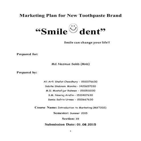 Marketing plan for new toothpaste brand