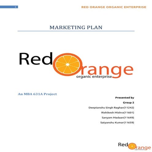 Marketing plan for the launch of a new soap