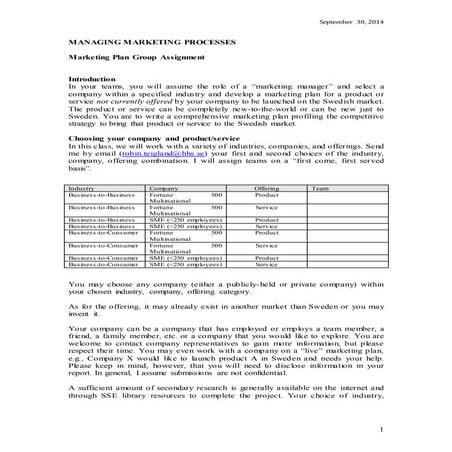 Marketing Plan Group Assignment 2014 | DOCX