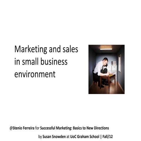 Sales and Marketing in Small Company Environment