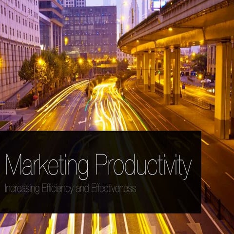 Marketing Productivity