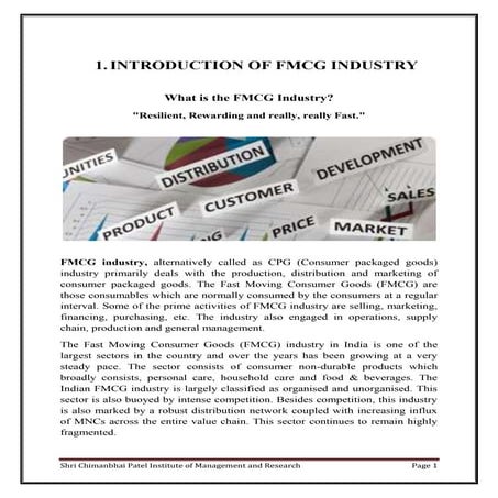 Marketing project   maggi