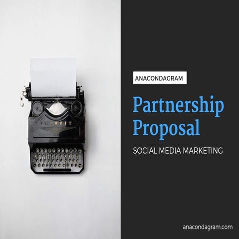 Instagram Marketing proposal by Anacondagram
