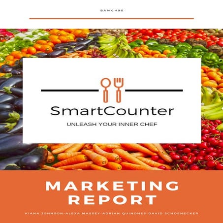 SmartCounter- Marketing report
