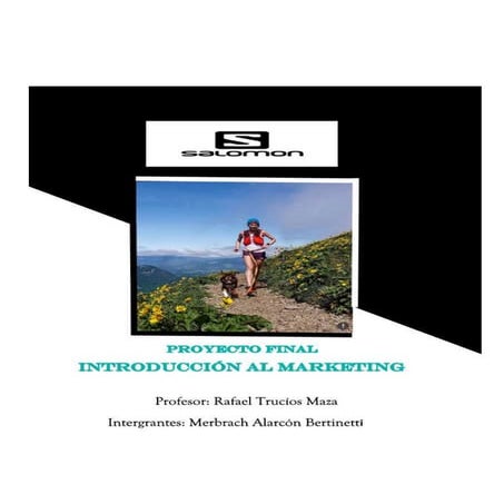 Marketing Salomon informe completo - Proyecto final escuela de gestion y nego...